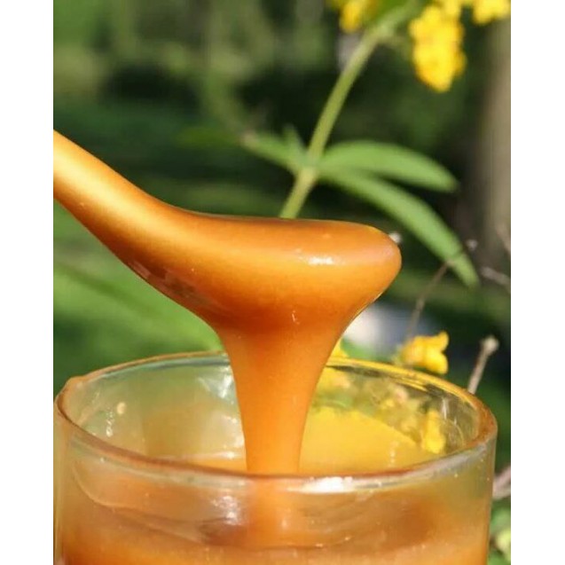 Мёд Алтайский разнотравье (светлый)
