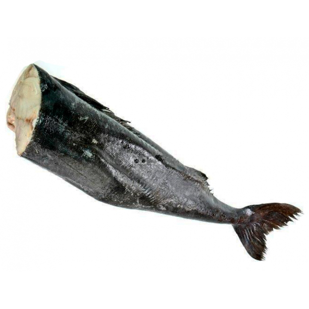 Рыба уголь фото