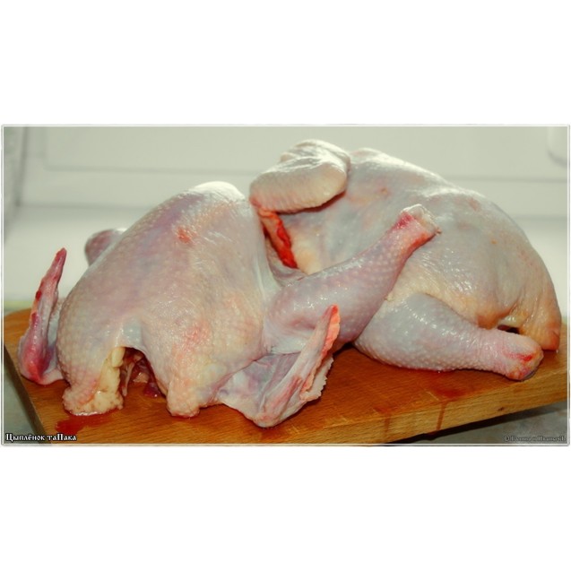 Цыплята тапака. Средний вес - 500-700 г.